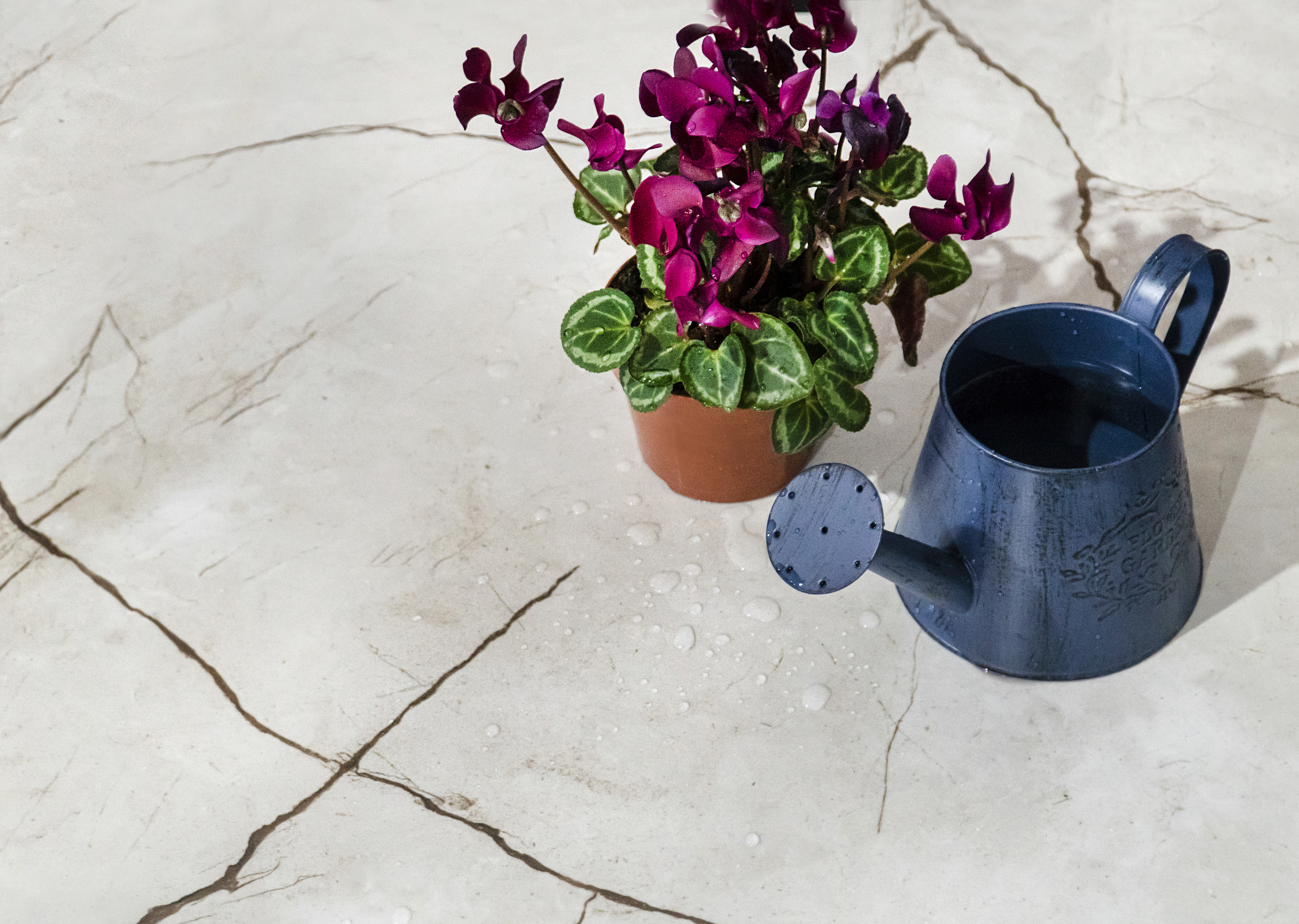 Alice crema керамогранит полированный 60x60