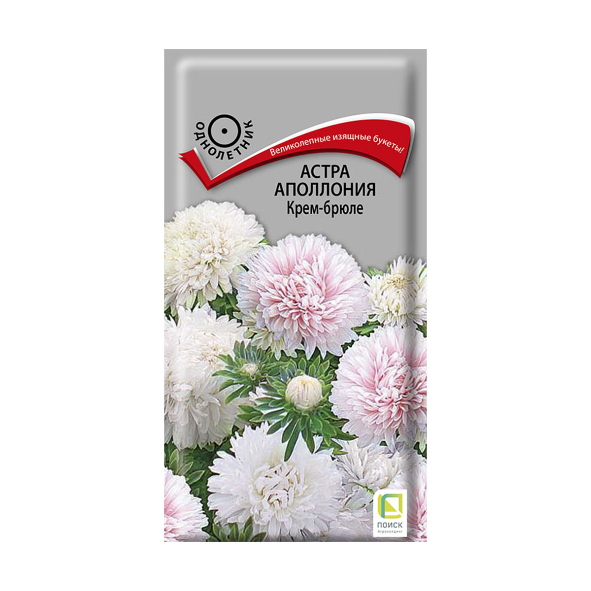Семена цветов астра аполлония "крем-брюле" ("1) 0,3 г (10/100) "поиск"