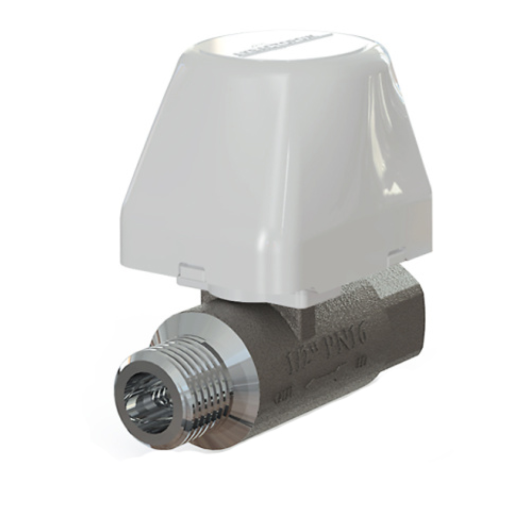 Электрокран АКВАСТОРОЖ Классик 1"