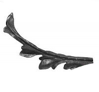 Лист стальной, кованый Арт. 830