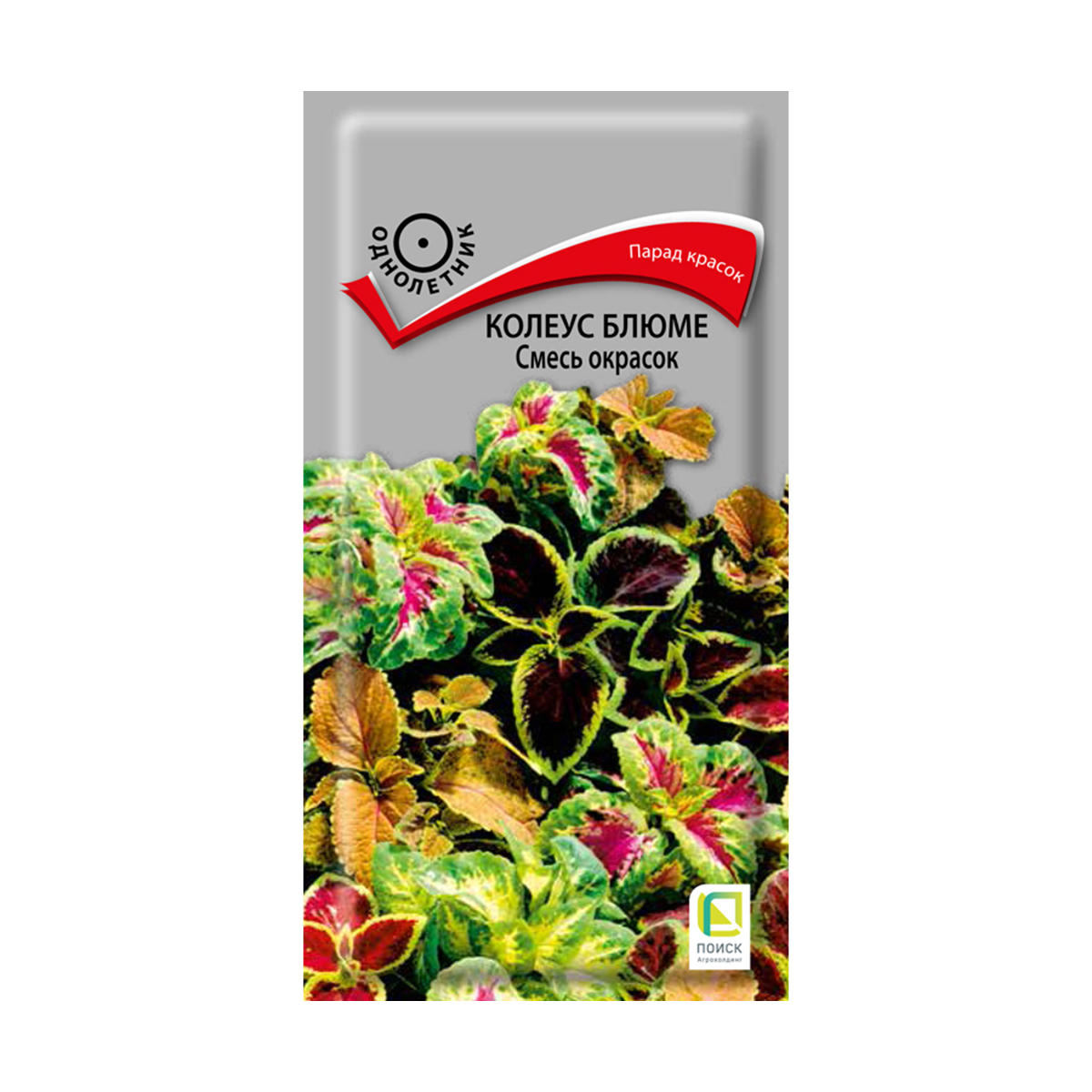 Семена цветов колеус блюме, смесь окрасок 0,1 г  ("1) (10/100) "поиск"