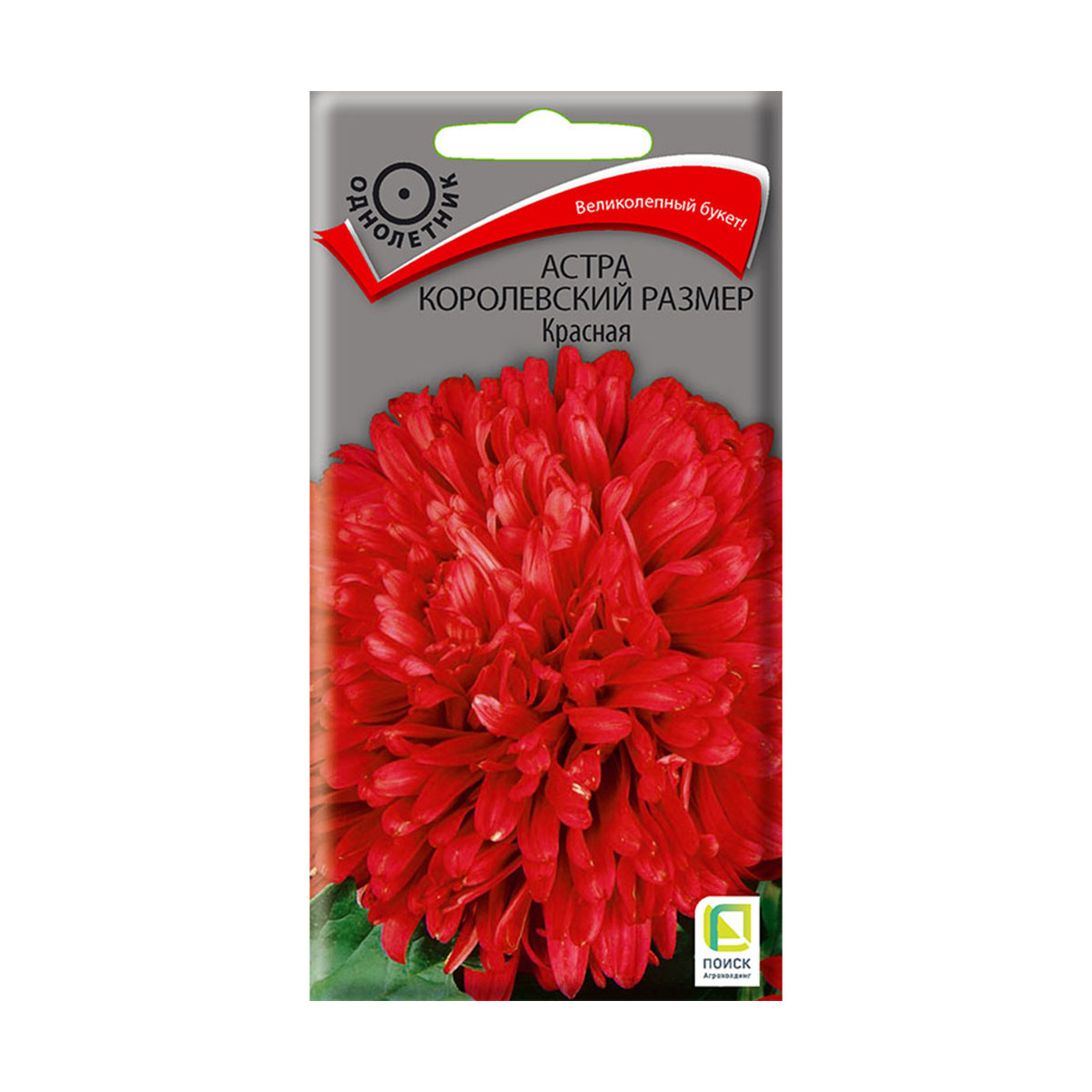 Семена цветов астра "королевский размер", красная ("1) 0,1 г (10/100) "поиск"