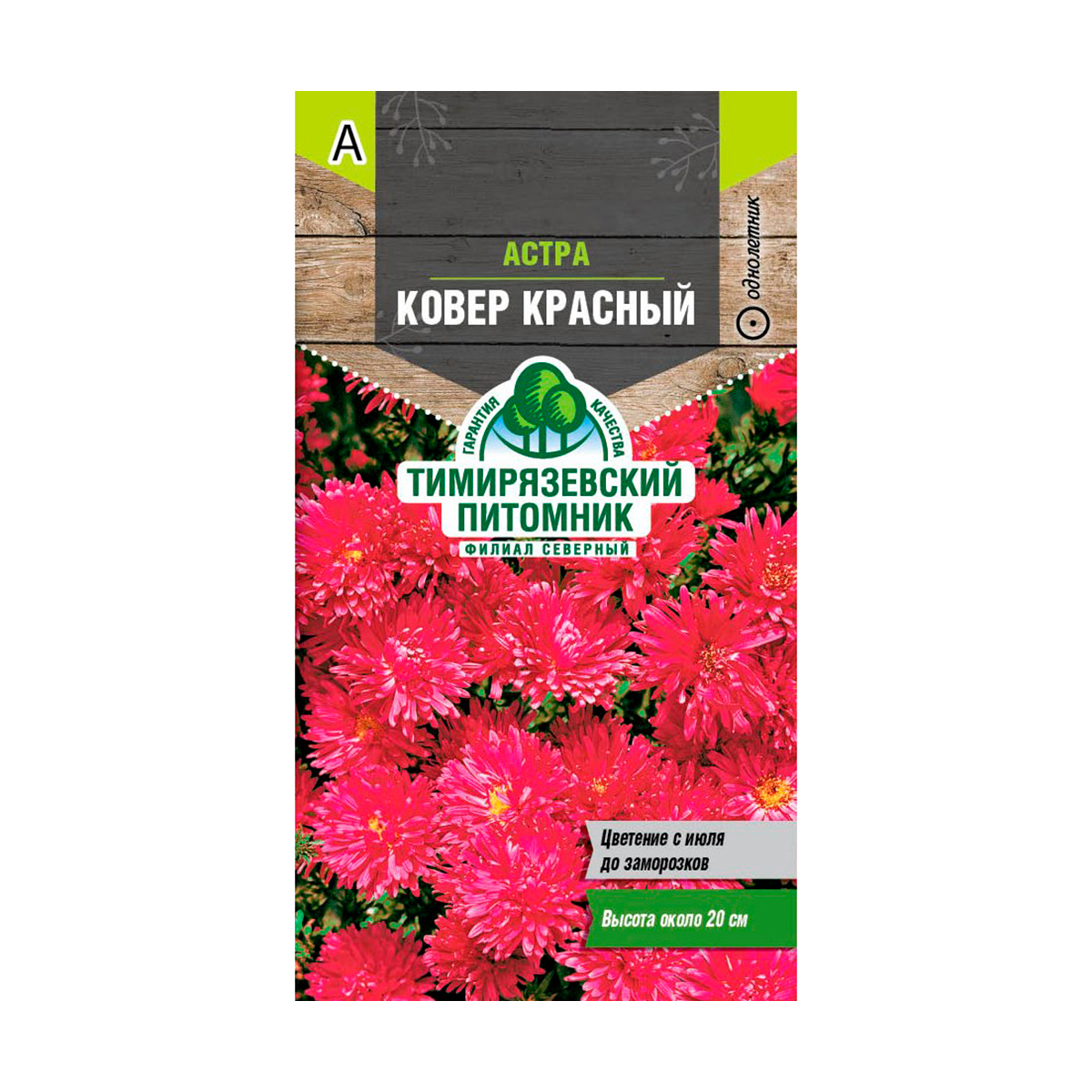 Семена цветов астра низкорослая "ковер красный" 0,2 г (10) "тимирязевский питомник"