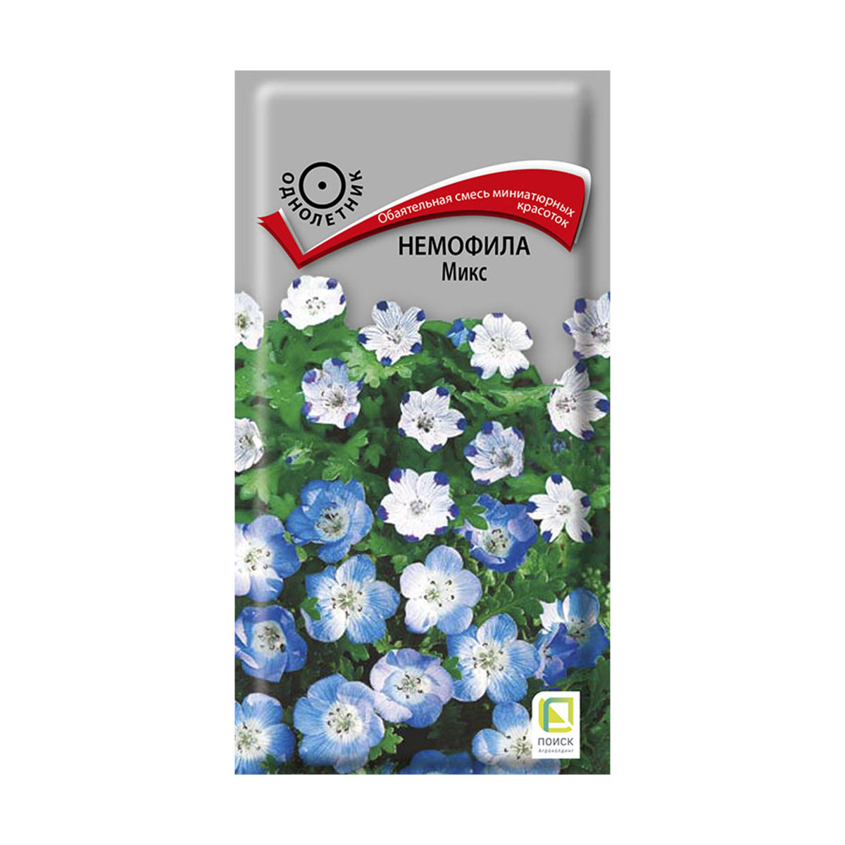 Семена цветов немофила, микс 0,1 г  ("1) (10/100) "поиск"