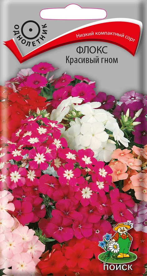 Семена цветов флокс друммонда "красивый гном" ("1)  0,2 г (10/100) "поиск"