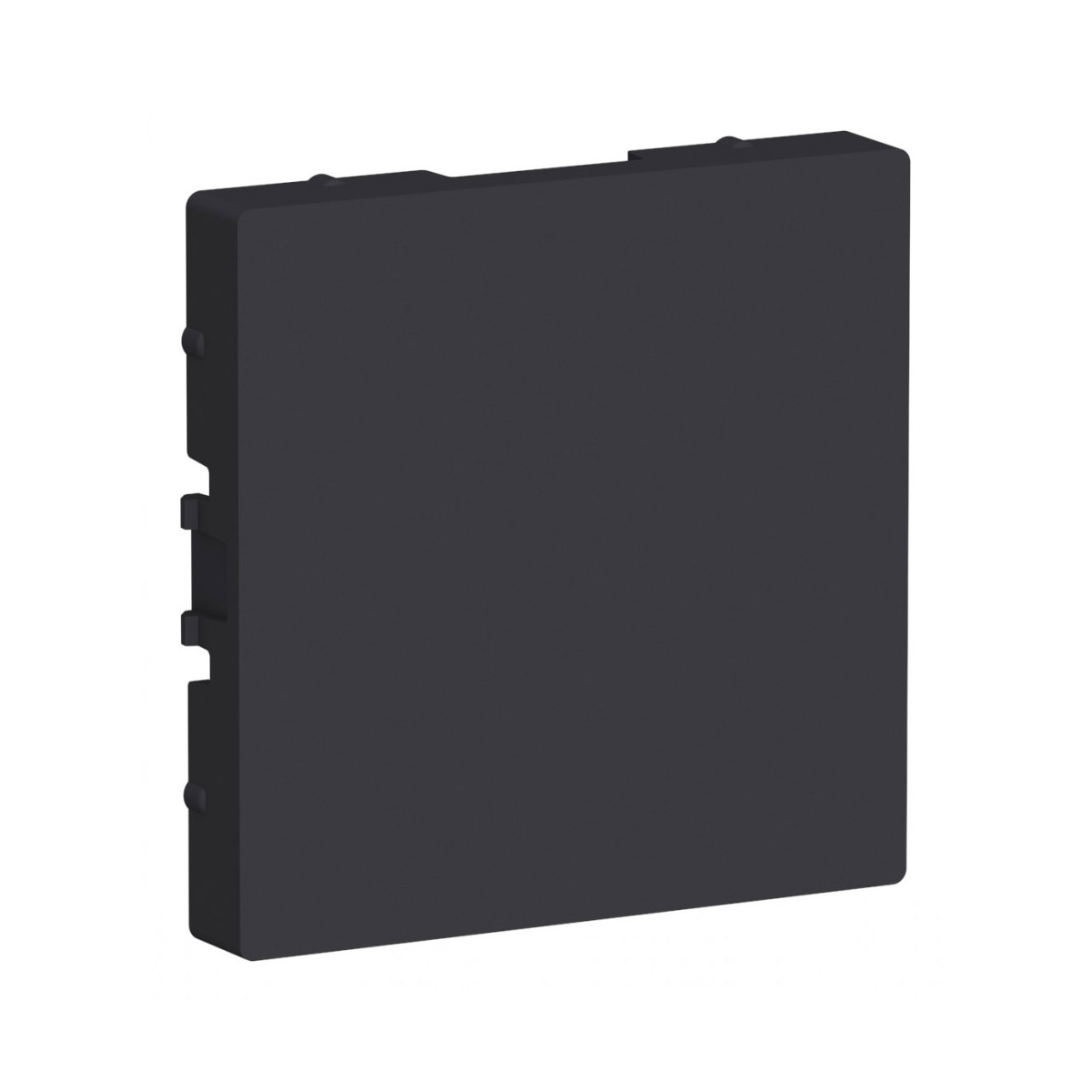 Заглушка для многопостовых рамок "atlasdesign" без суппорта, карбон (1/5/80) "schneider"