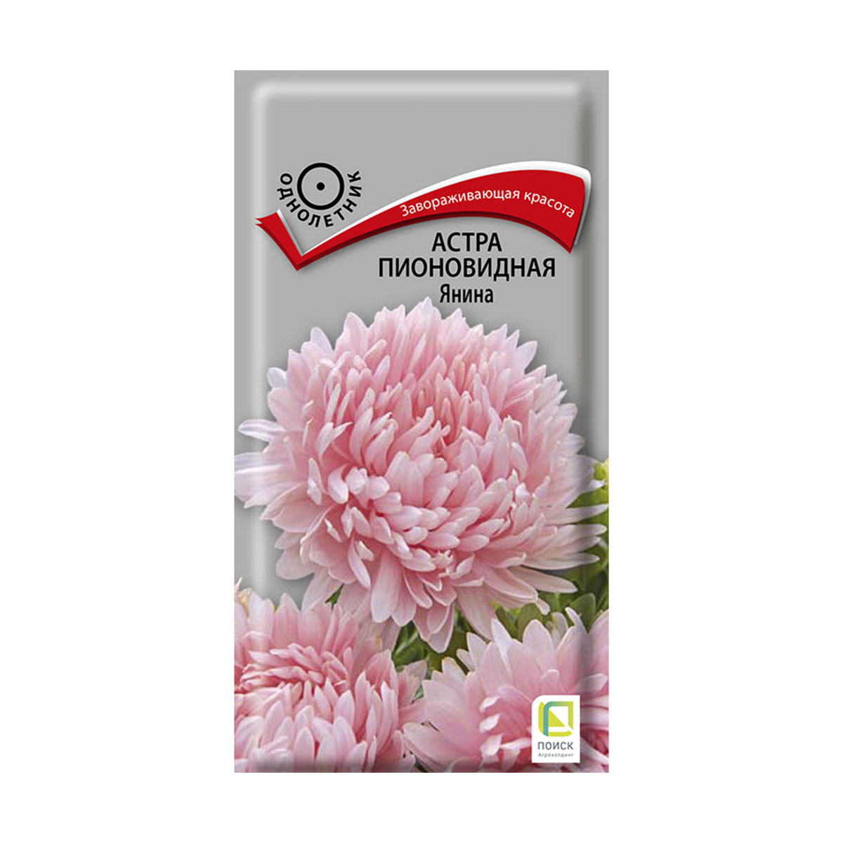 Семена цветов астра пионовидная "янина" ("1) 0,3 г (10/100) "поиск"