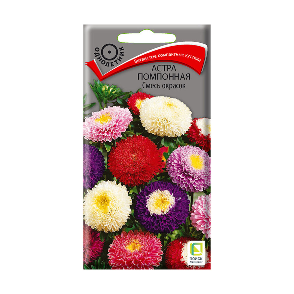 Семена цветов астра помпонная, смесь окрасок ("1) 0,3 г (10/100) "поиск"