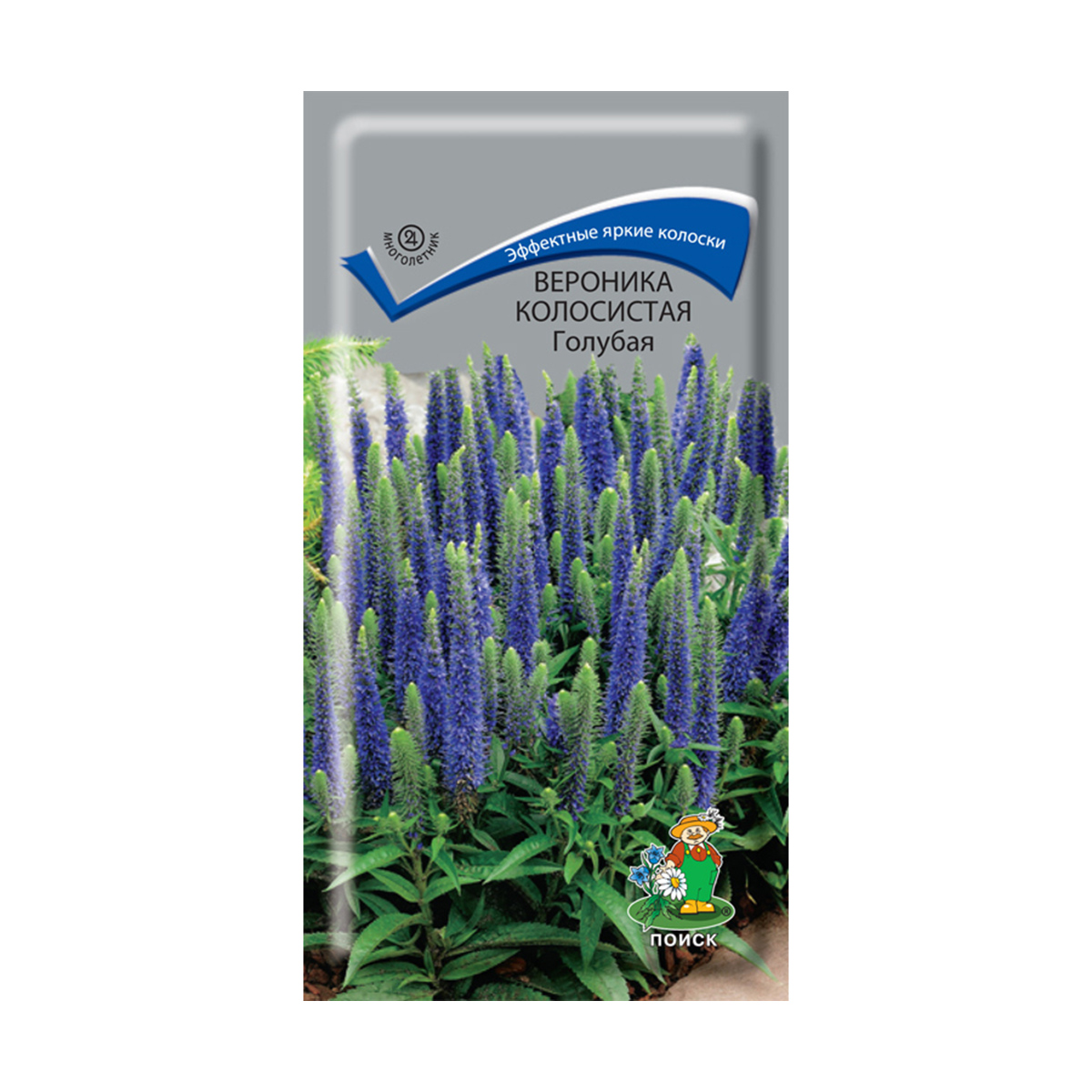 Семена цветов вероника колосистая, голубая 0,1 г ("м) (10/100) "поиск"