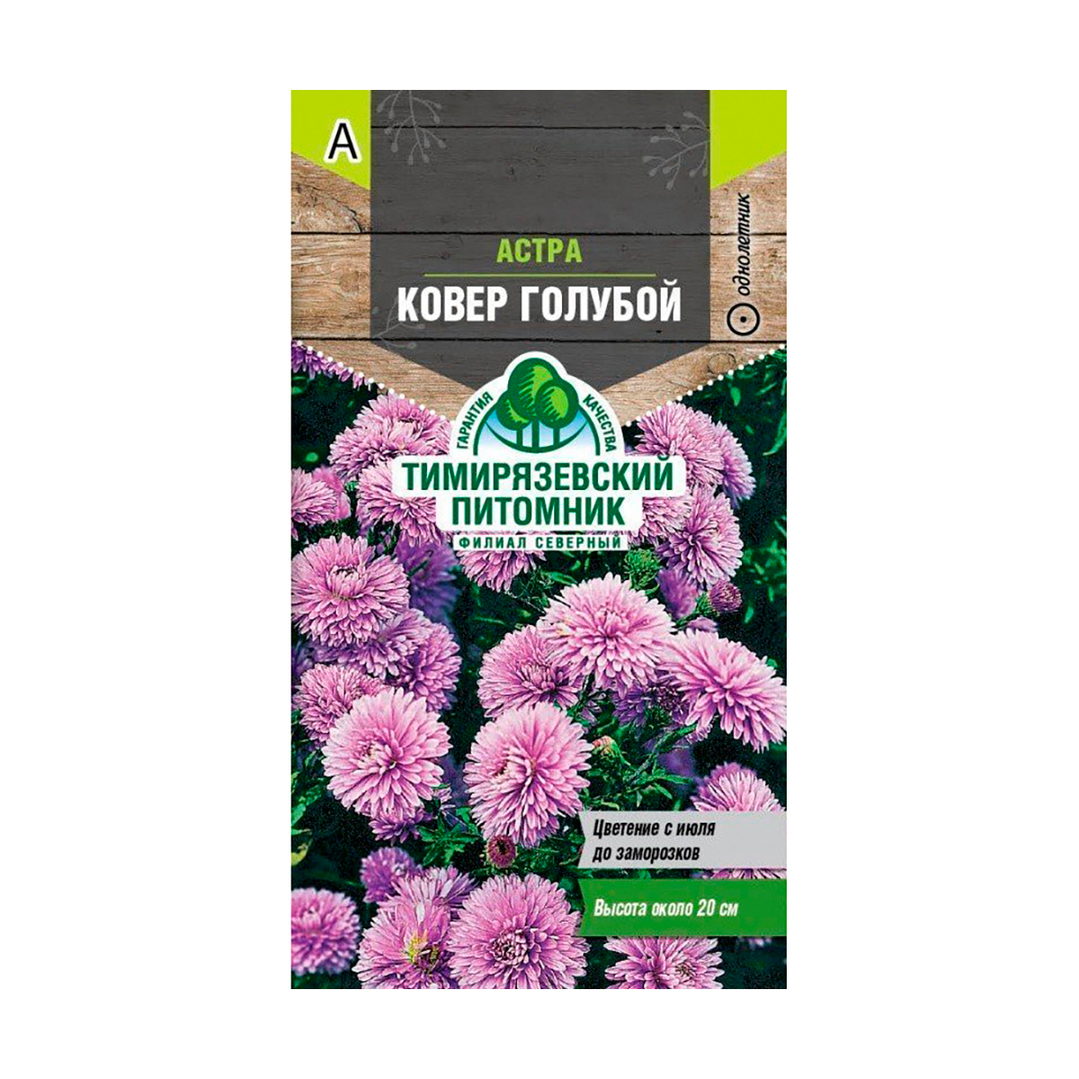 Семена цветов астра низкорослая "ковер голубой" 0,2 г (10) "тимирязевский питомник"