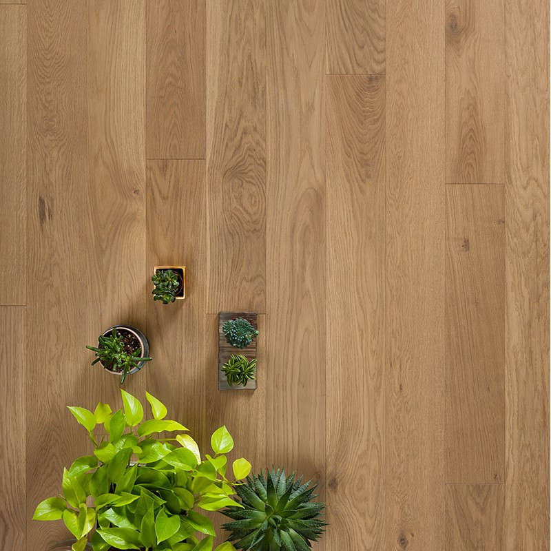 Паркетная доска Coswick Классическая 3-х слойная CosLoc 1153-3509 Сиена натуральная (Порода: Дуб)