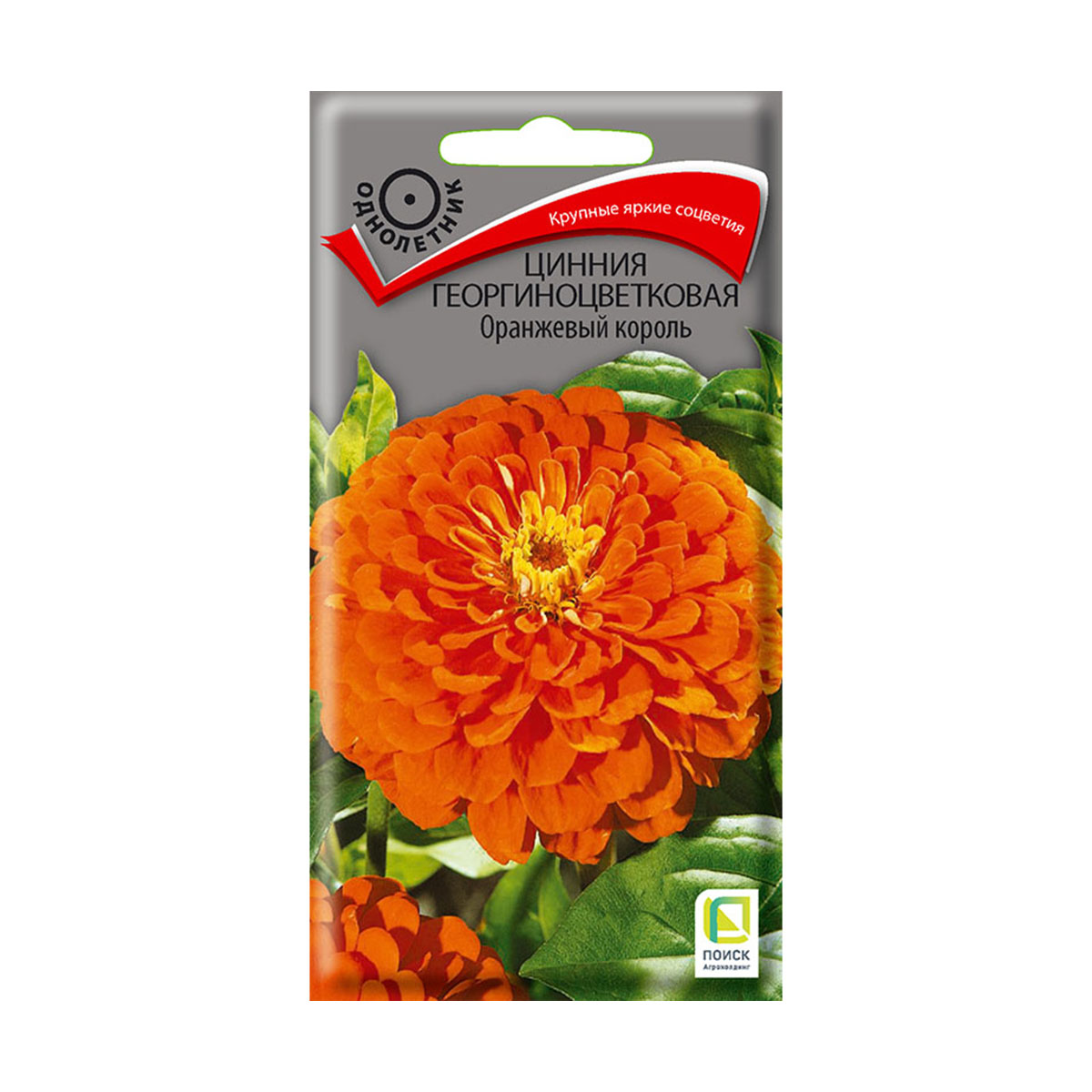 Семена цветов цинния георгиноцветковая "оранжевый король" 0,4 г  ("1) (10/100) "поиск"
