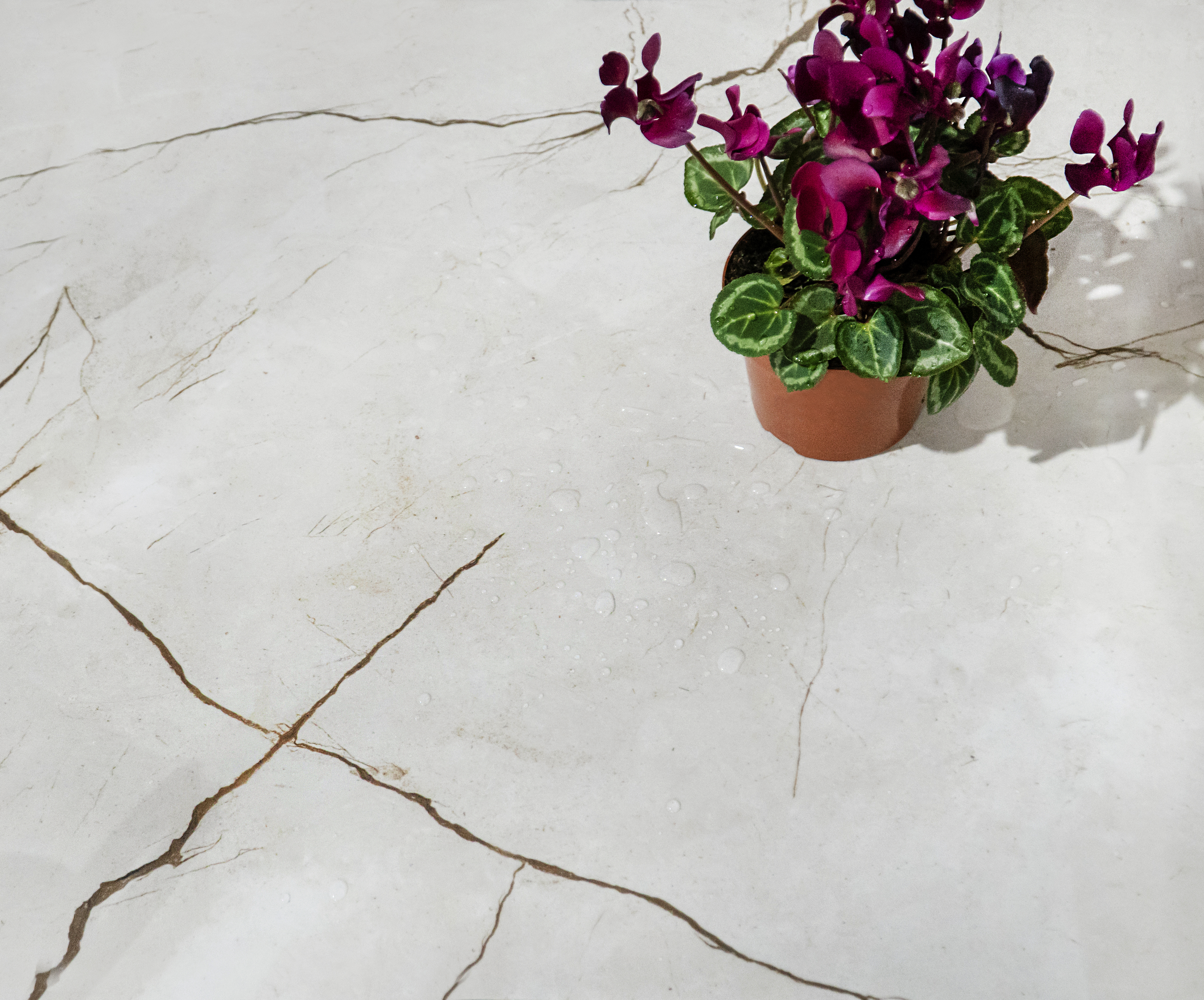 Alice crema керамогранит полированный 60x60