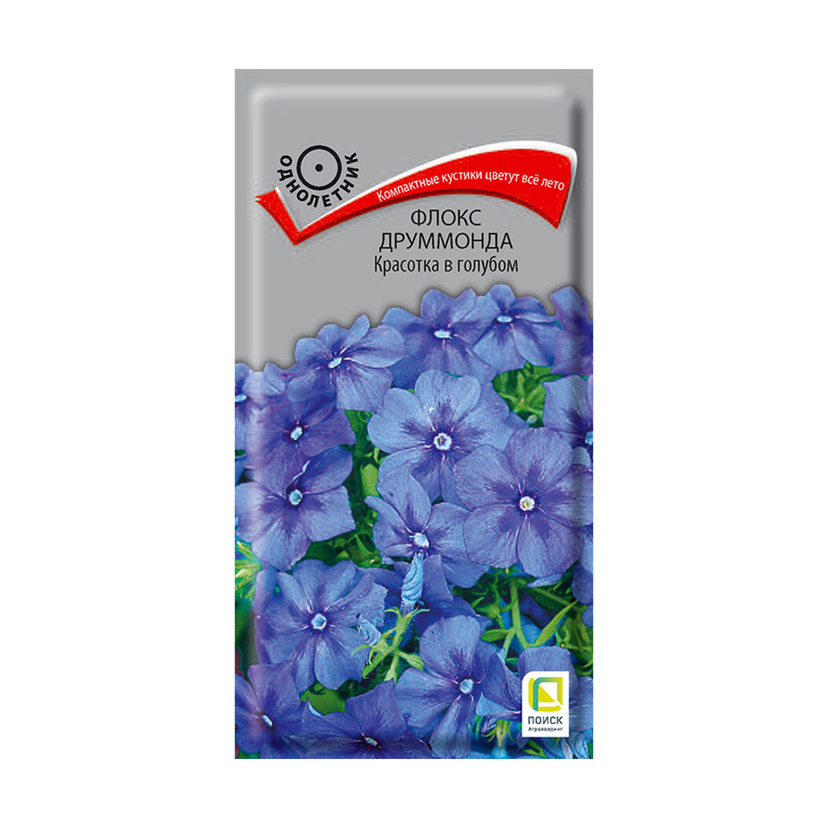 Семена цветов флокс друммонда "красотка в голубом" 0,1 г  ("1) (10/100) "поиск"