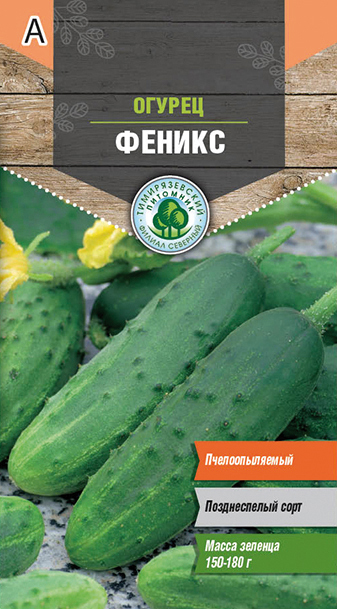 Семена огурец "феникс" позднеспелый 0,5 г (10) "тимирязевский питомник"