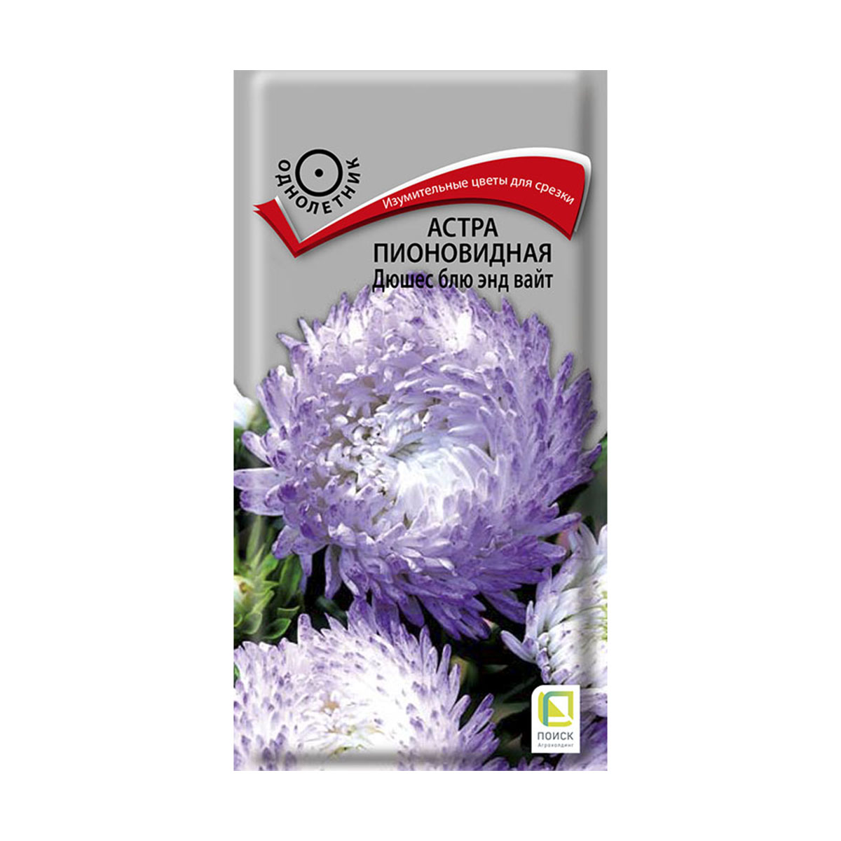 Семена цветов астра пионовидная "дюшес блю энд вайт" ("1) 0,3 г (10/100) "поиск"