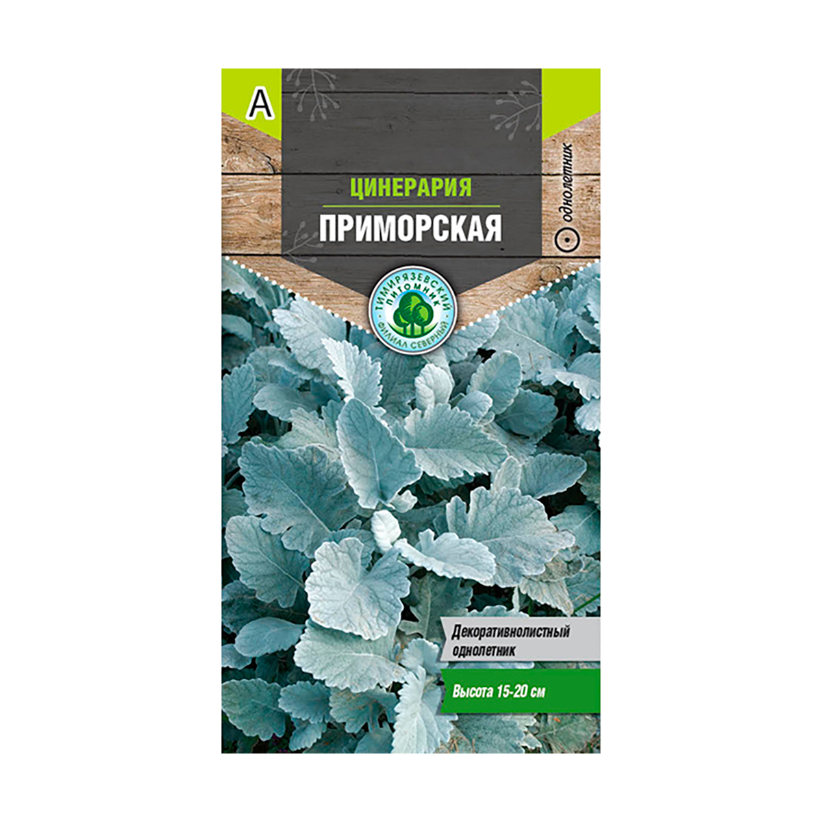 Семена цветов цинерария "приморская"  0,05 г (10) "тимирязевский питомник"