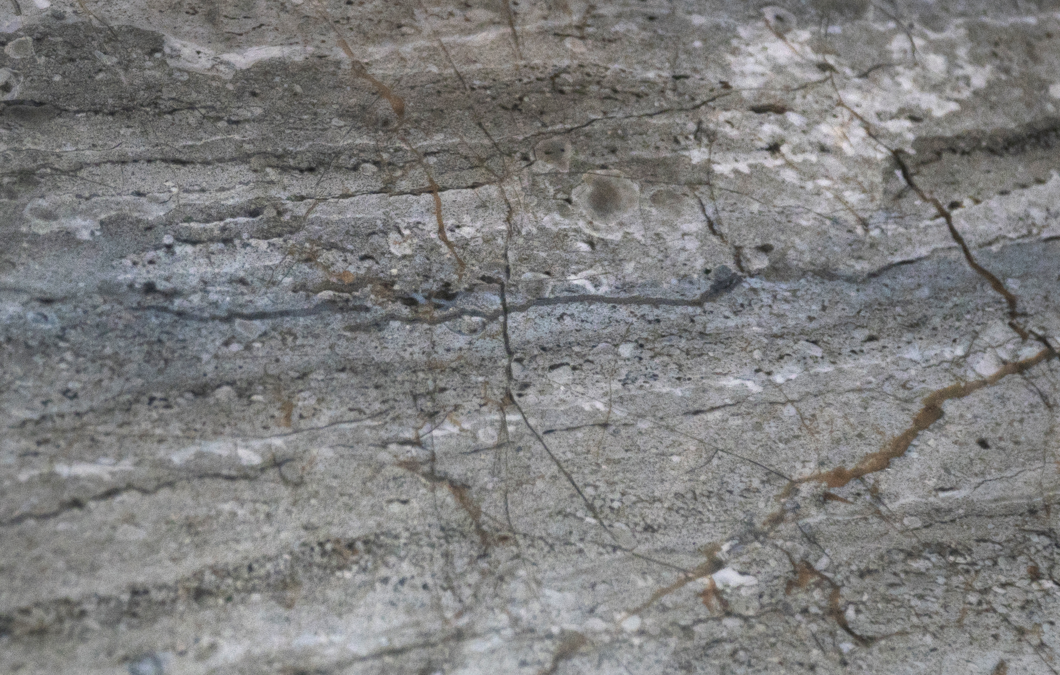 Moon серый 25x75