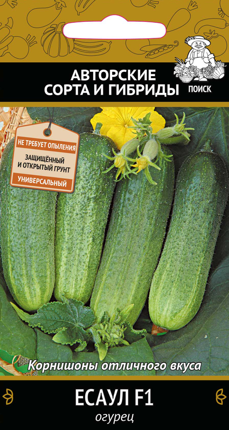 Семена огурец "есаул f1" (а) 12 шт. (10/100) "авторские сорта и гибриды"