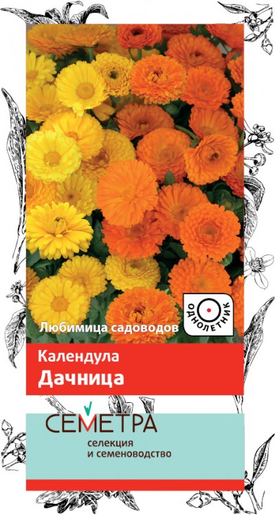 Семена цветов календула "дачница" ("1)  1 г (10/600) "семетра"