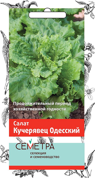 Семена салат "кучерявец одесский" 1 г (10/100) "семетра"