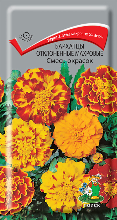 Семена цветов бархатцы отклоненные махровые (тагетес) смесь окрасок ("1) 0,3 г (10/100) "поиск"