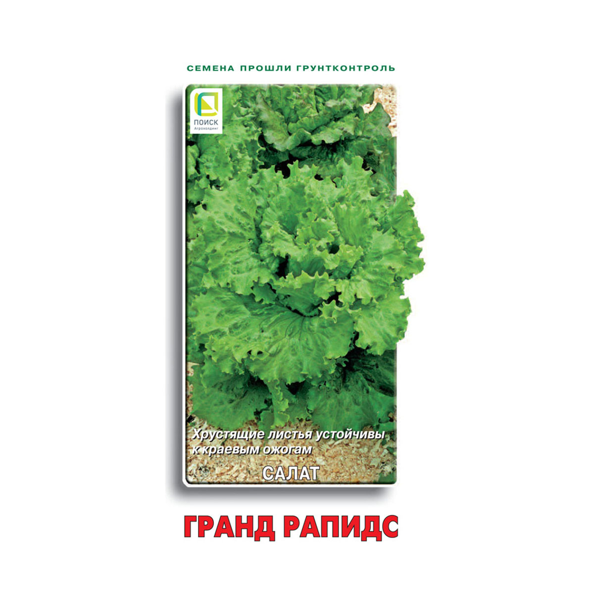 Семена салат "гранд рапидс" 1 г (10/100) "поиск"