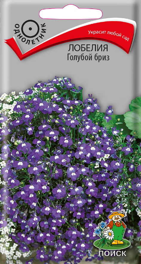 Семена цветов лобелия "голубой бриз" ("1)  0,1 г (10/2500) "поиск"