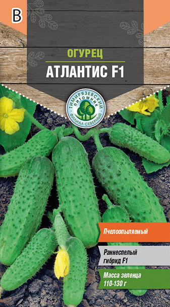 Семена огурец "атлантис f1" ранний (голландия) 7 шт (10) "тимирязевский питомник"