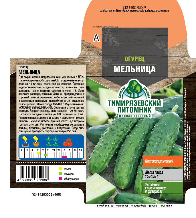 Семена огурец "мельница f1" 10 шт (10) "тимирязевский питомник"