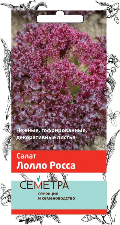 Семена салат "лолло росса" 1 г (10/100) "семетра"