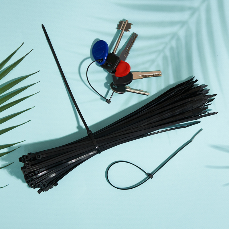 Хомуты нейлон 3,6 х 250 мм (набор 100 шт.), черные (1/10/100) "rexant" 07-0251