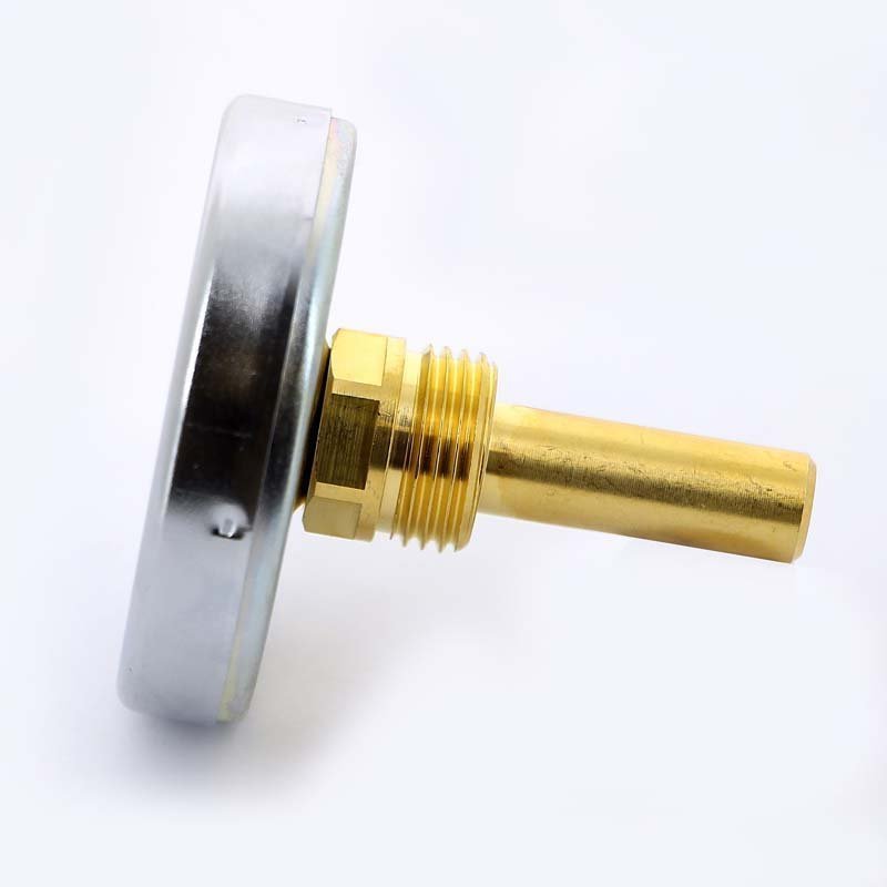 Термометр биметаллический F+R801 63 мм 160° WATTS с погружной гильзой 50 мм