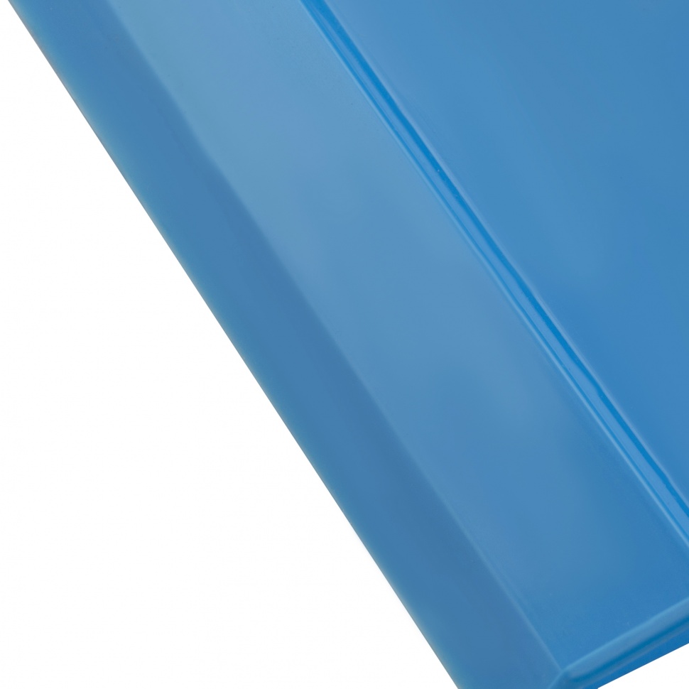 Совок, 290 x 210 мм, голубой, Home Palisad (933255)