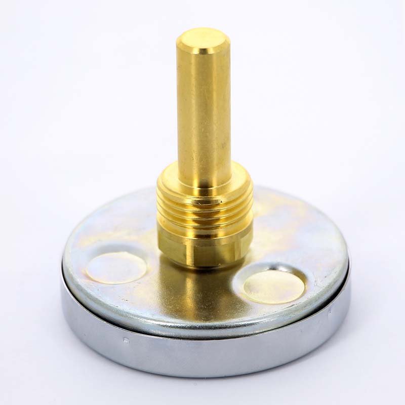 Термометр биметаллический F+R801 63 мм 160° WATTS с погружной гильзой 50 мм