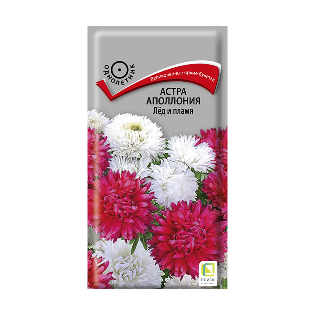 Семена цветов астра аполлония "лед и пламя" ("1) 0,3 г (10/100) "поиск"