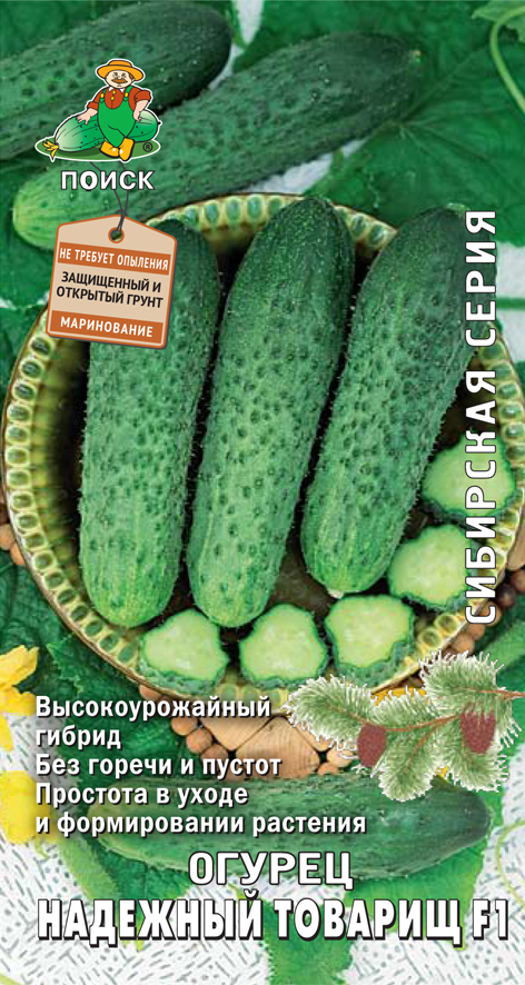 Семена огурец "надежный товарищ f1" (а) 12 шт. (10/100) "сибирская серия"