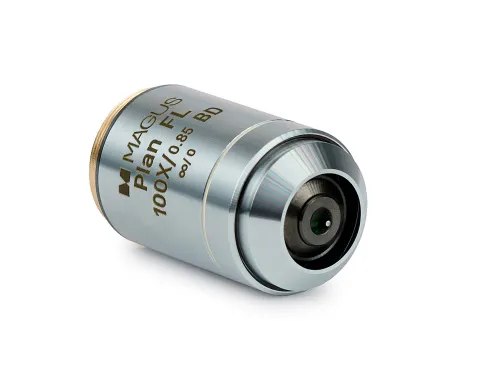 Объектив MAGUS 100PLL BD 100х/0,85 Plan L WD 0,40 мм