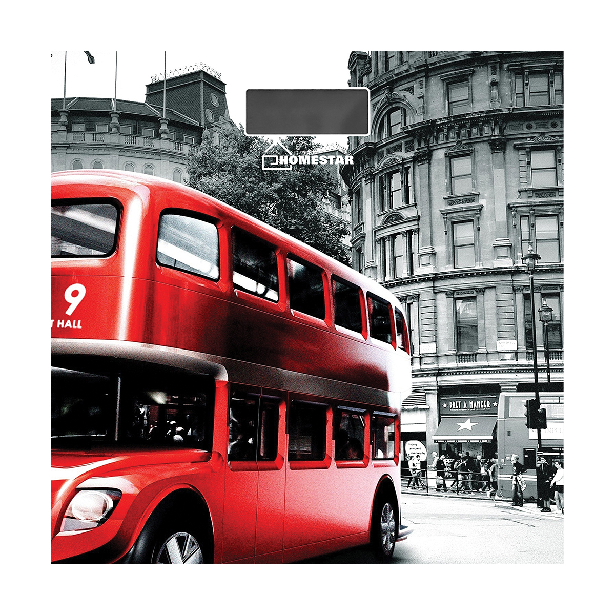 Весы напольные электронные "homestar" hs-6001f (лондон) (1/8)