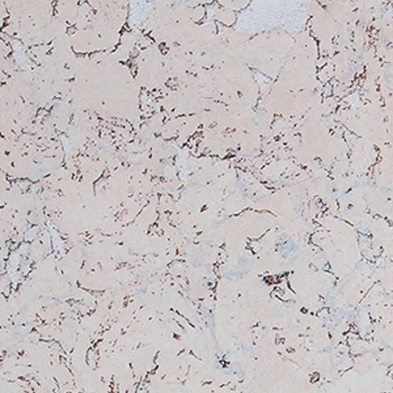 Corkart Classic PW3 324c WS-3.0