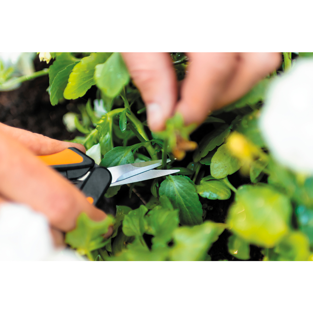 Ножницы садовые для маленьких растений "solid" sp13 (1/4) "fiskars" 1051600