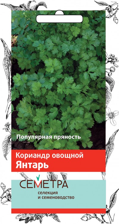 Семена кориандр овощной "янтарь" 3 г (10/100) "семетра"