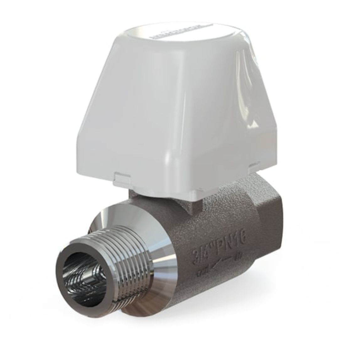 Электрокран АКВАСТОРОЖ Классик 3/4"