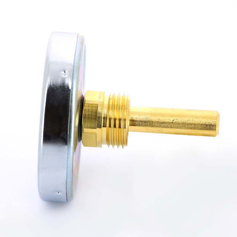 Термометр биметаллический F+R801 63 мм 120° WATTS с погружной гильзой 50 мм