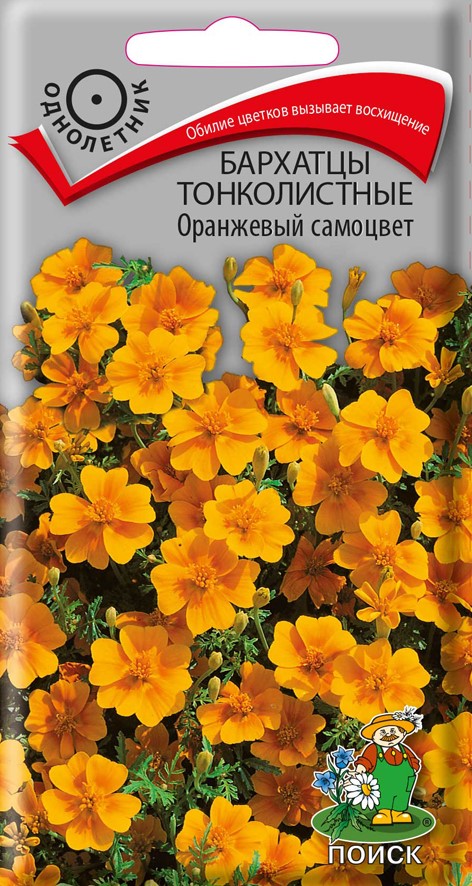 Семена цветов бархатцы тонколистные (тагетес) "оранжевый самоцвет" ("1) 0,1 г (10/100) "поиск"