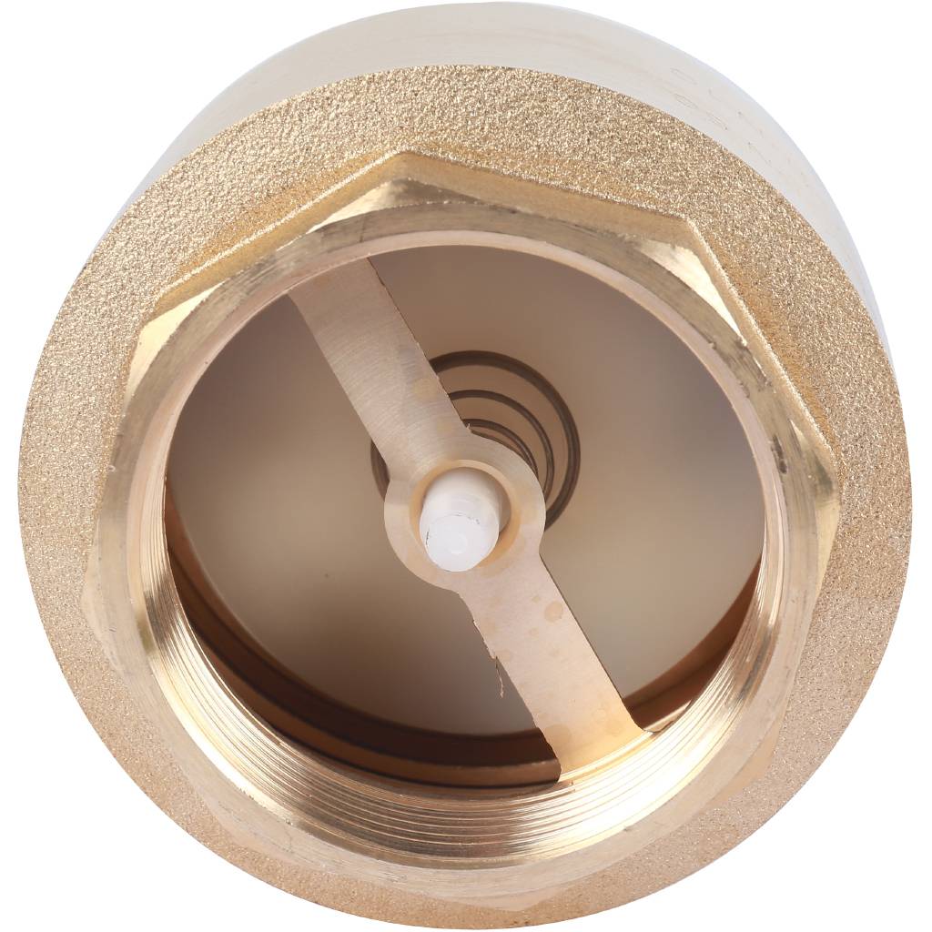 Клапан YORK ITAP 103 обратный пружинный (пластиковое седло) 2"