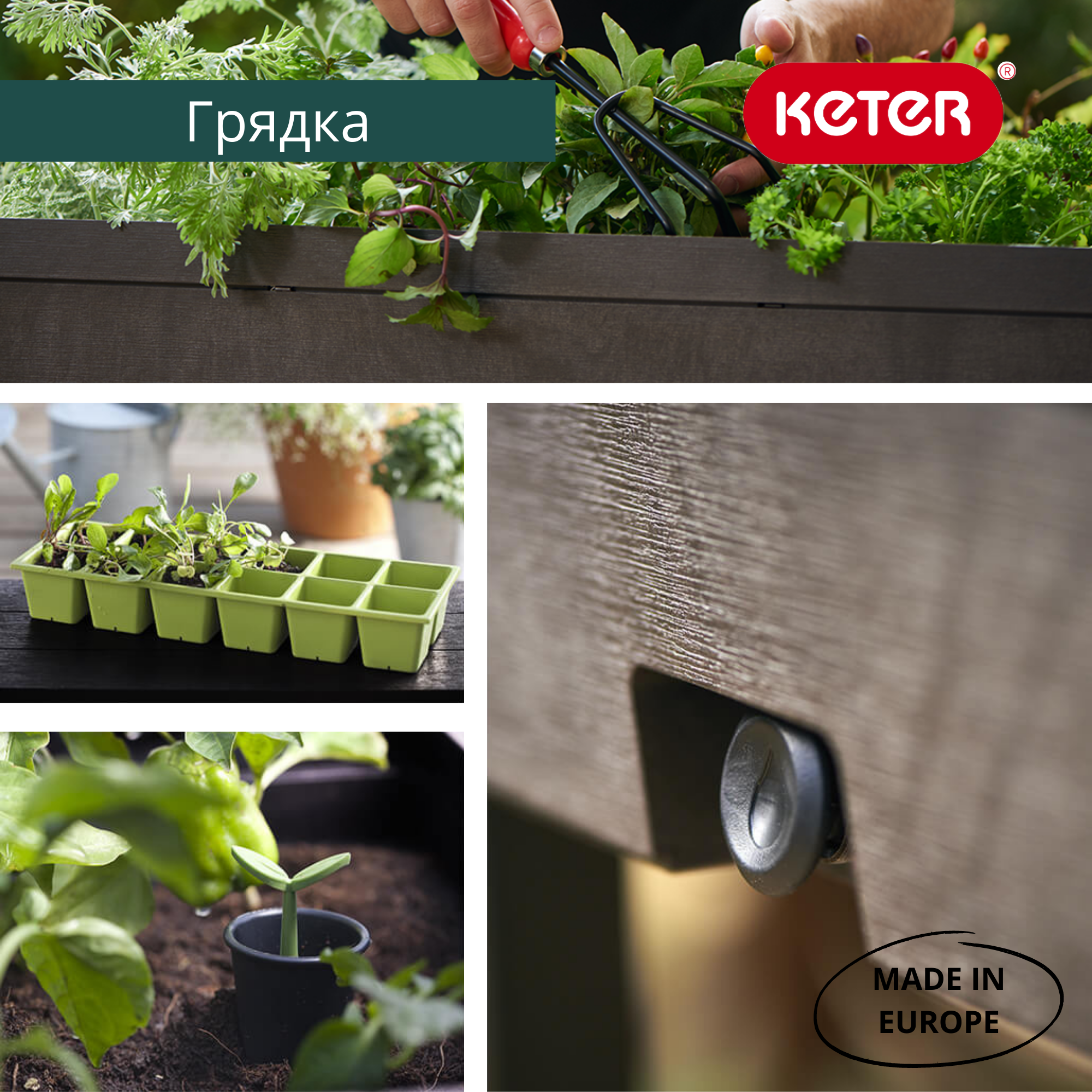 Готовая грядка Урбан Блумер (Urban Bloomer)