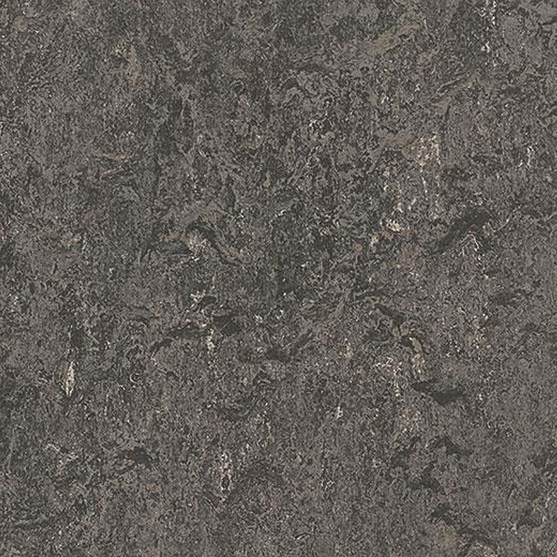 Forbo Marmoleum Marbled Real 3048 Graphite - 2.0