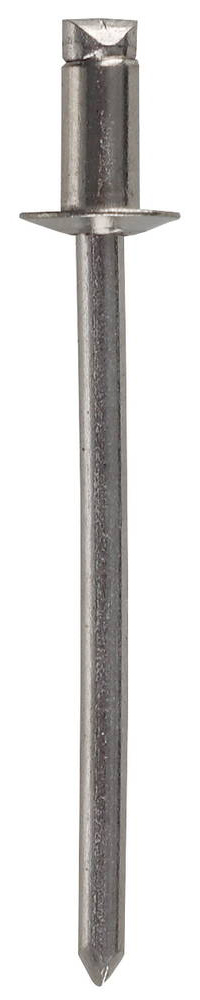 Заклепки из нержавеющей стали 3,2x12 мм, 50 шт, ЗУБР