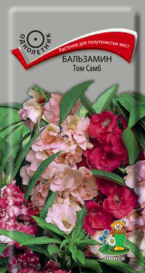 Семена цветов бальзамин "том самб" ("1) 0,1 г (10/100) "поиск"